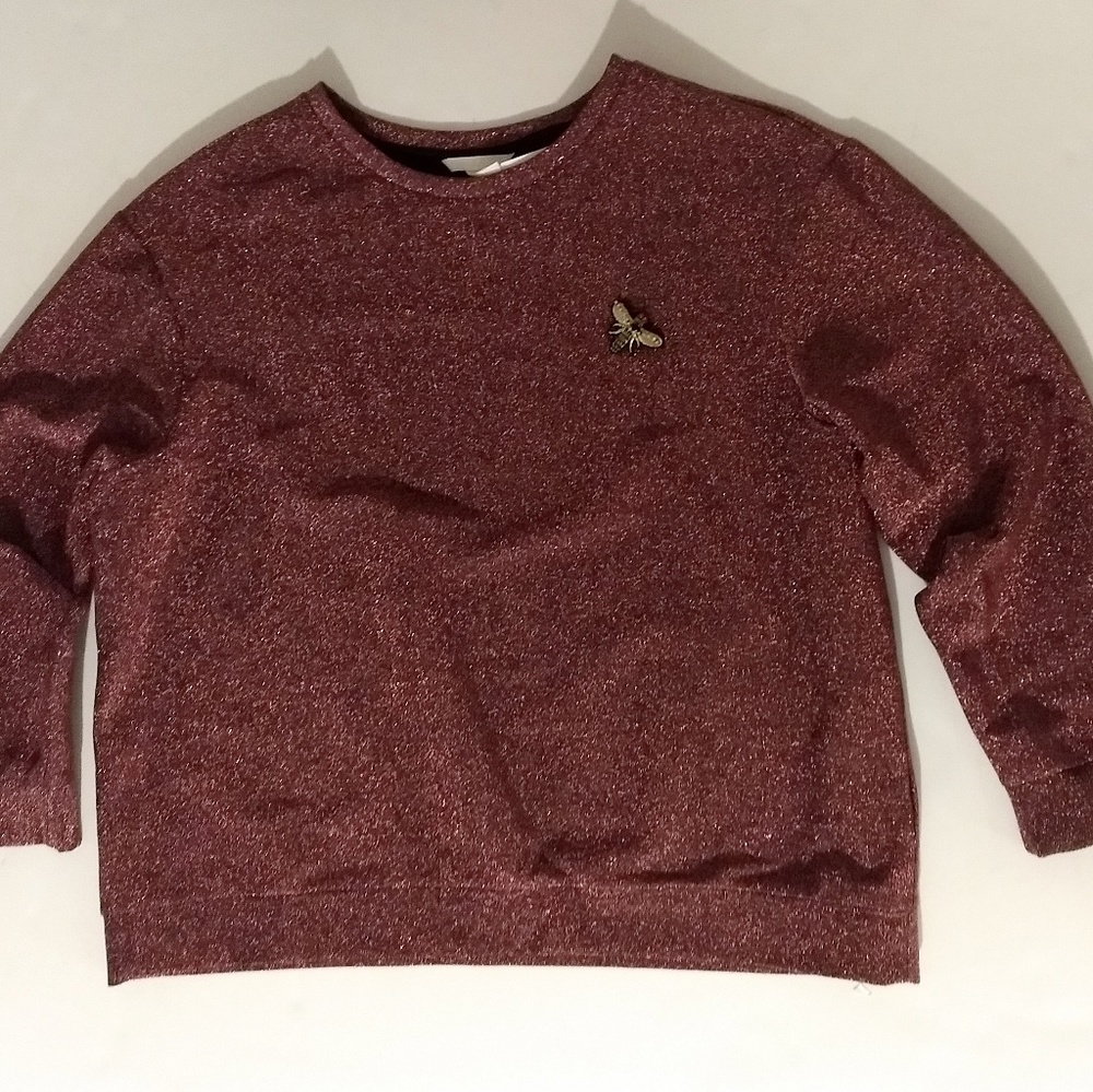 Shiny sweatshirt